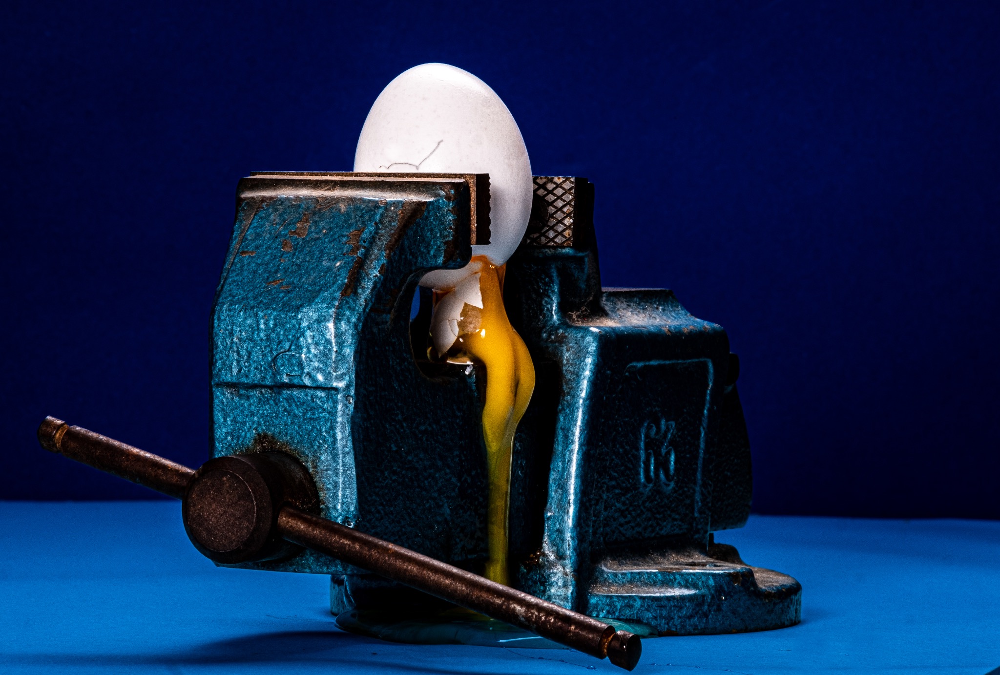 Food photography