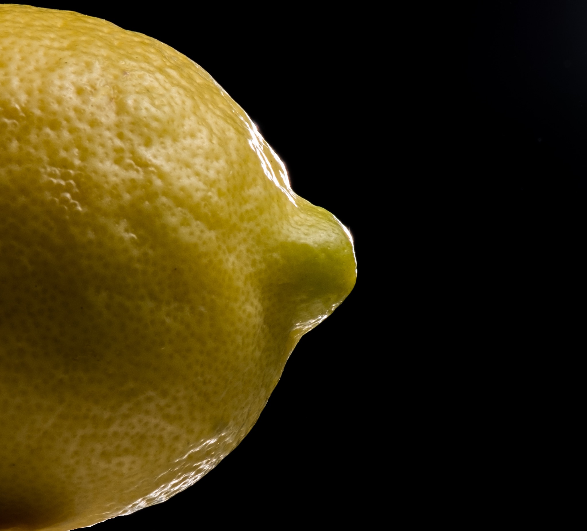 Food photography